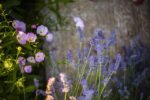 Duftduel: Når eau de toilette og parfume står ansigt til ansigt