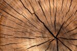 Plankebordets fornyelse: Hvordan en gammel træplade kan blive et moderne statement-piece
