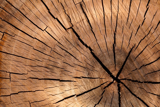 Plankebordets fornyelse: Hvordan en gammel træplade kan blive et moderne statement-piece