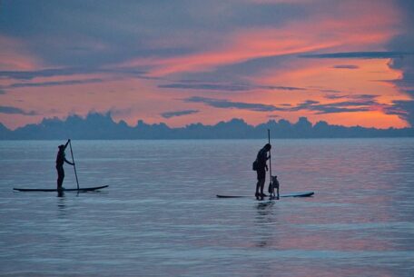 Master the Waves: Top Tips for Paddleboarding Safety and Reducing Risks with Life Vests