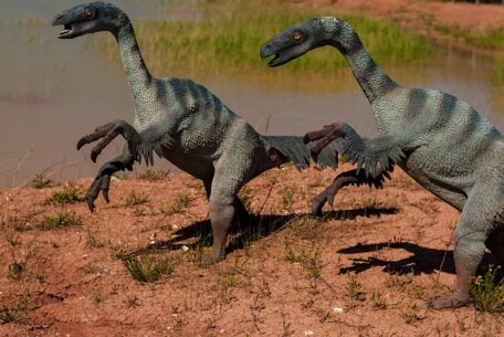 Gør sengetid sjov og lærerig med dinosaur sengetøj
